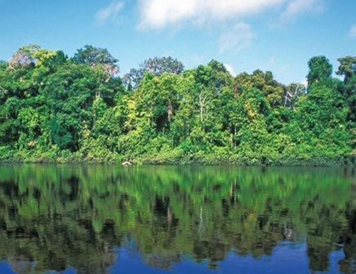Hotel Vista Al Tortuguero Cariari  Εξωτερικό φωτογραφία